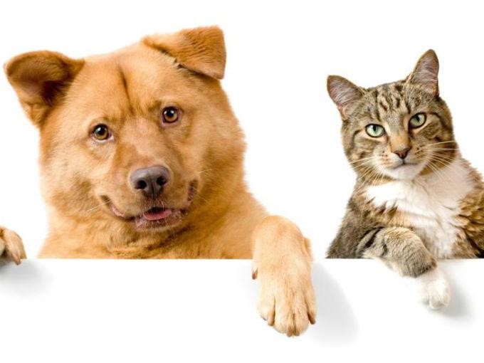 esterilizacion