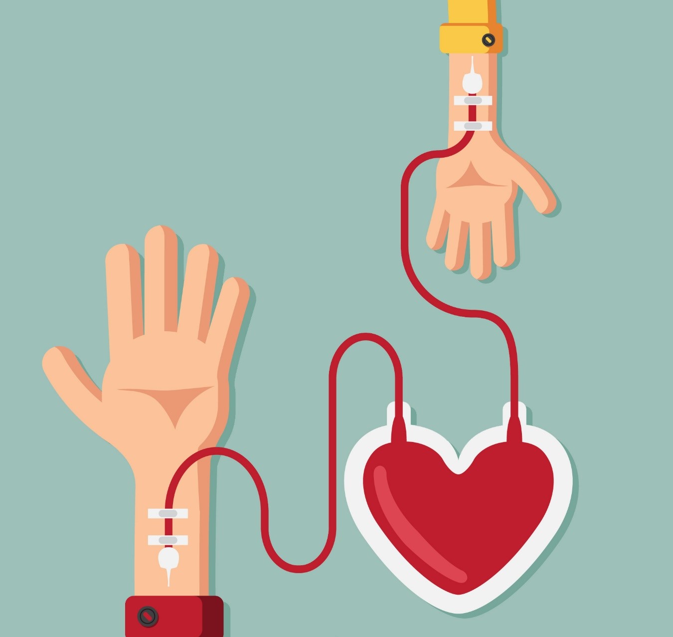 Donacion