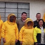 abejas