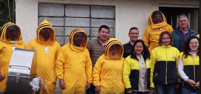 abejas