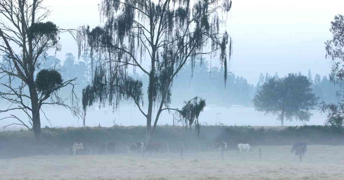 heladas