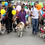 marcha