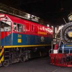 tren de la sabana 1