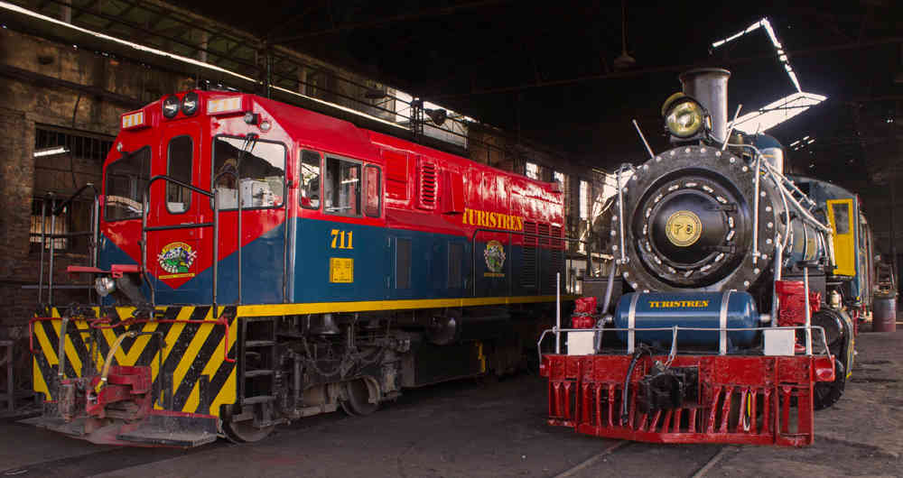tren de la sabana 1