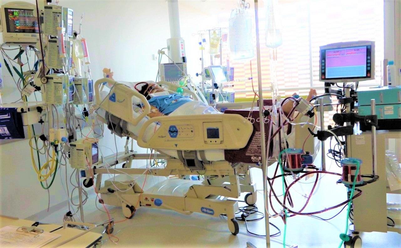 Crean linea especializada para orientar a la comunidad medica de covid 192