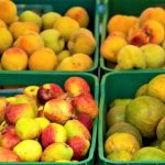 PGN vigilara abastecimiento alimentario y proteccion de la economia campesina familiar y comunitaria