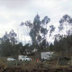 Tala de arboles adelantada por Enel Codensa en Mosquera cumple con aprobacion de la CAR