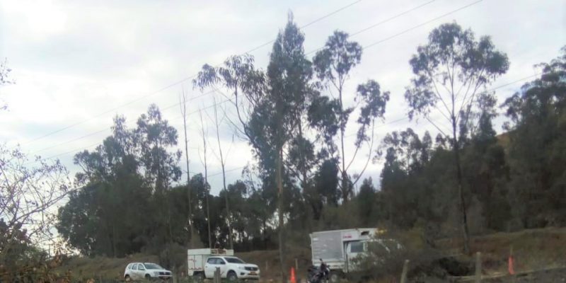 Tala de arboles adelantada por Enel Codensa en Mosquera cumple con aprobacion de la CAR