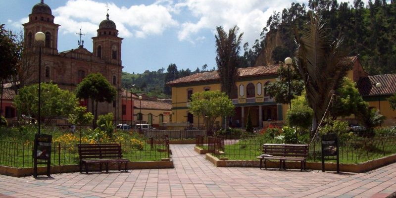 Nemocon refuerza medidas en la lucha contra el coronavirus