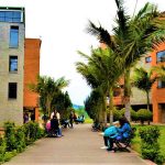 Egresados y estudiantes de la UDEC fueron escuchados en la Duma Departamental