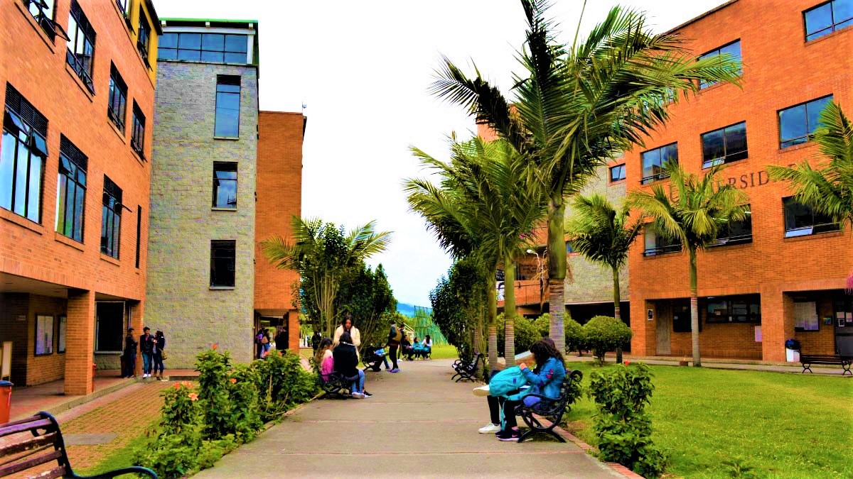 Egresados y estudiantes de la UDEC fueron escuchados en la Duma Departamental