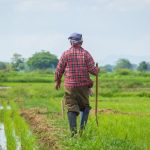 Tras Covid 19 reactivacion economica inicia en el campo