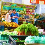 Campesinos comercializaran mercados por internet