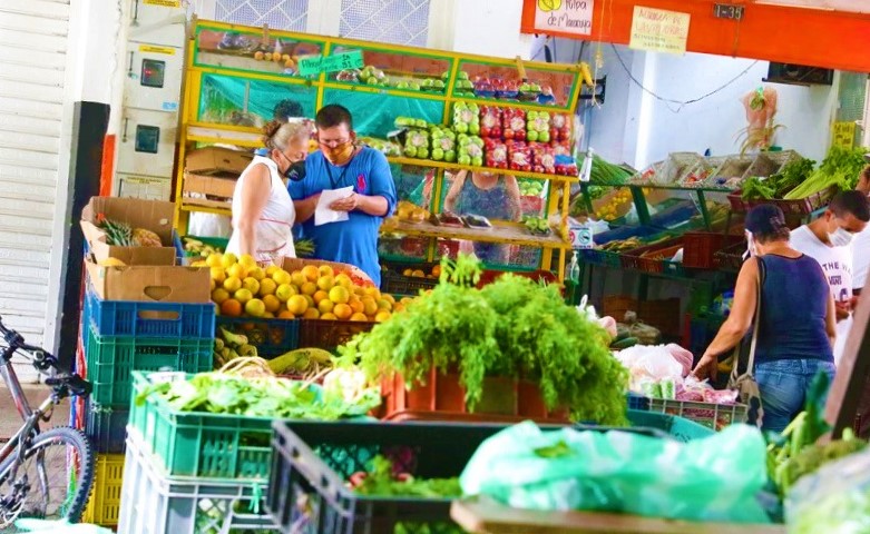 Campesinos comercializaran mercados por internet