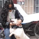 Thor el perrito maltratado ve con el corazon en el seno de la Fundacion Bulls Colombia