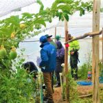En Cundinamarca fueron halladas en cautiverio varias especies animales