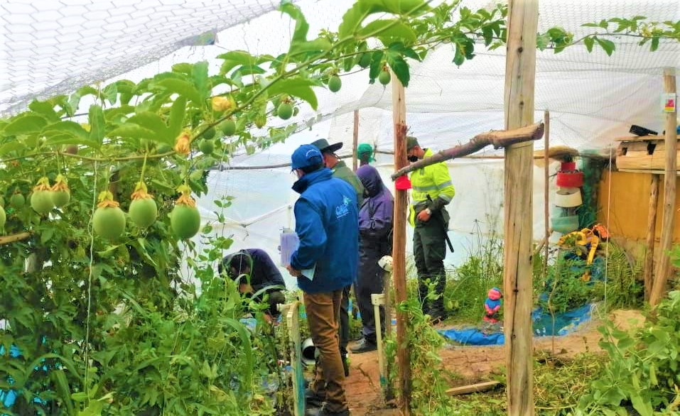 En Cundinamarca fueron halladas en cautiverio varias especies animales