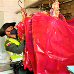 Incautada carne de bovina sacrificada ilegalmente en Chia