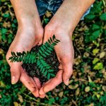 Continua la encrucijada presupuestal del sector ambiental en el pais