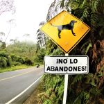 Cundinamarca en torno a la proteccion y cuidado de los animales de compania1