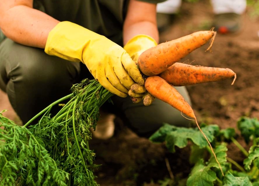 Cundinamarca y Bogota con enfoque en turismo rural