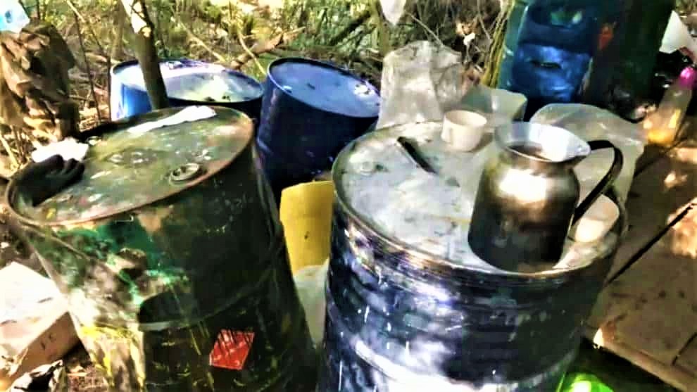 Fiscalia retira preacuerdo con mayordomo en Guasca donde habia un laboratorio de coca