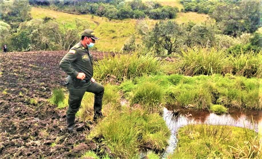 Sanciones contra responsables de adelantar actividades agropecuarias en zona de paramo