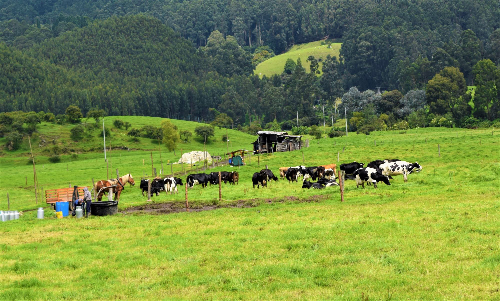 Celeridad al proyecto de ley de alivio financiero a pequenos y medianos productores campesinos