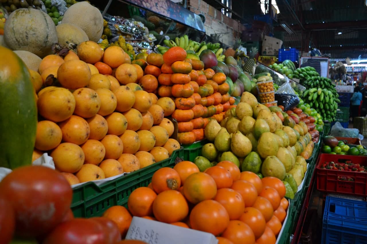 Banco de Alimentos para Cundinamarca 8
