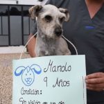 Zipaquira le dice SI a la adopcion de Salineritos 1
