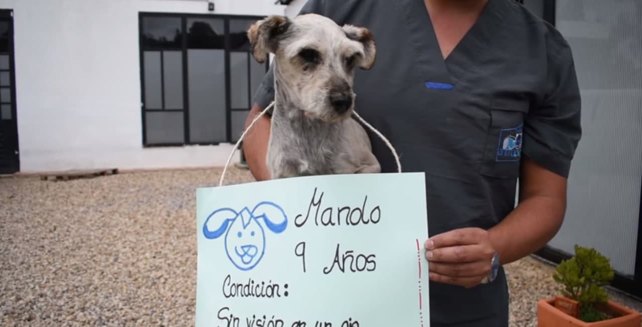 Zipaquira le dice SI a la adopcion de Salineritos 1