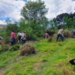 Cultura del Arbol la estrategia de la CAR que avanza con exito