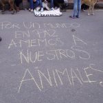 Cundinamarca Casanare y Santander con mas denuncias por maltrato animal