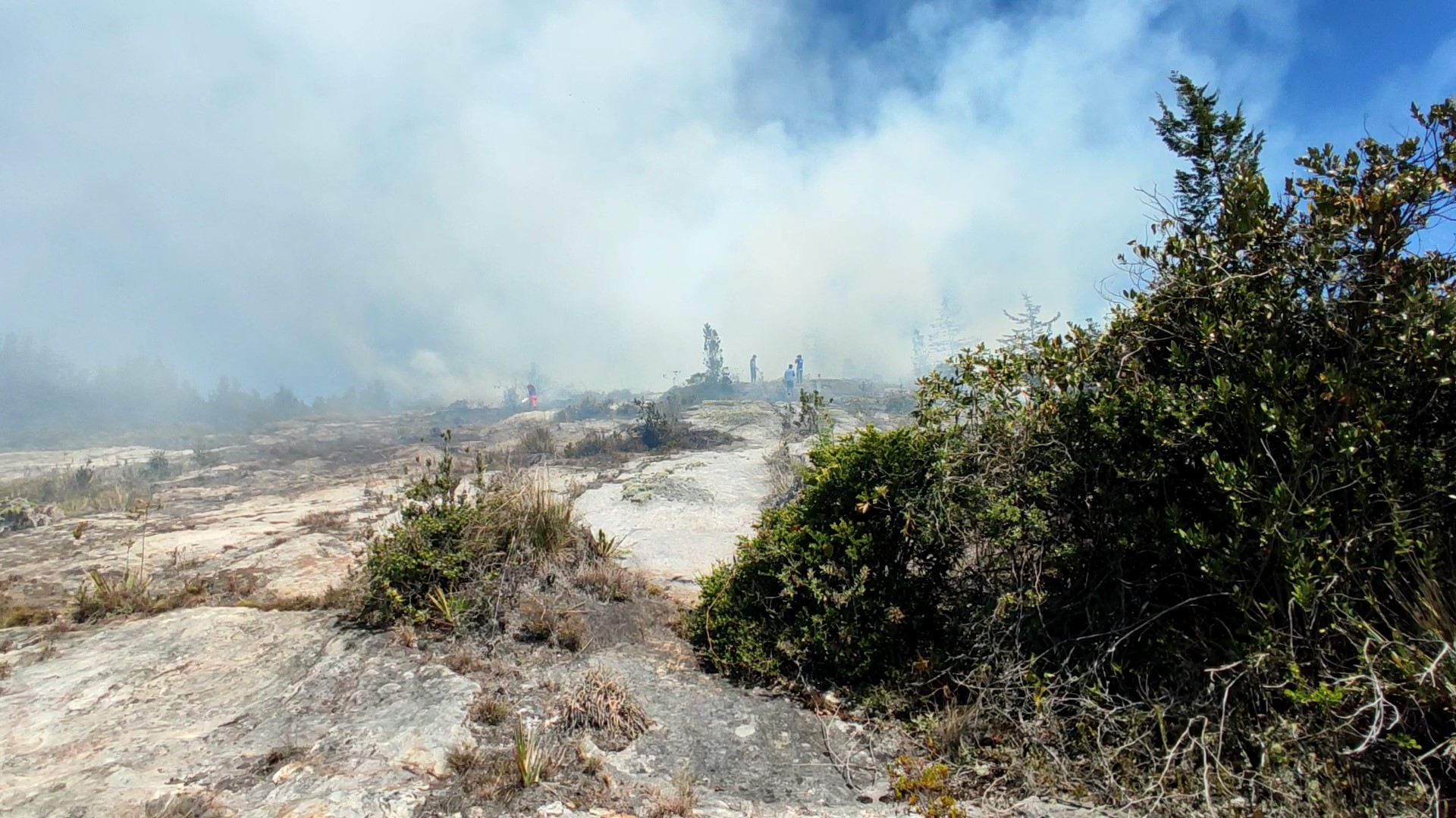 Dos incendios forestales se presentan a esta hora en Zipaquira