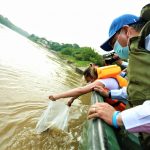 Ejercito Nacional contribuye a la recuperacion de la cadena alimenticia del rio Magdalena