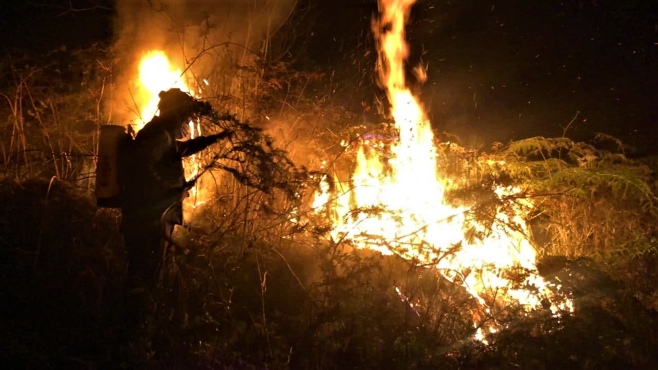 Zipaquira sin incendios forestales