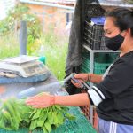 Certificadas las primeras fincas agroecologicas de Chia