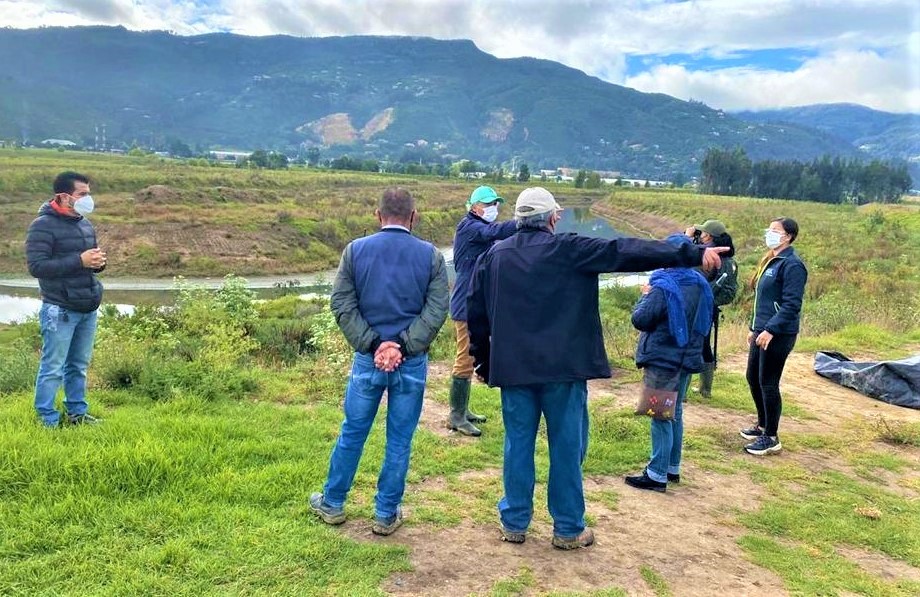 Fue suspendido aprovechamiento forestal en la vereda de chia1