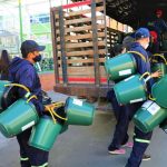 Avanza la ruta hacia una Chia Organica