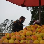 Comparendo a vendedores ambulantes de durazno en Zipaquira