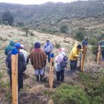 Convocatoria de Estrategias de Emprendimiento Social para la Conservacion Ambiental 2021
