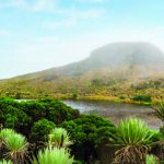 Convocatoria para conformar Veeduria Ambiental en Zipaquira