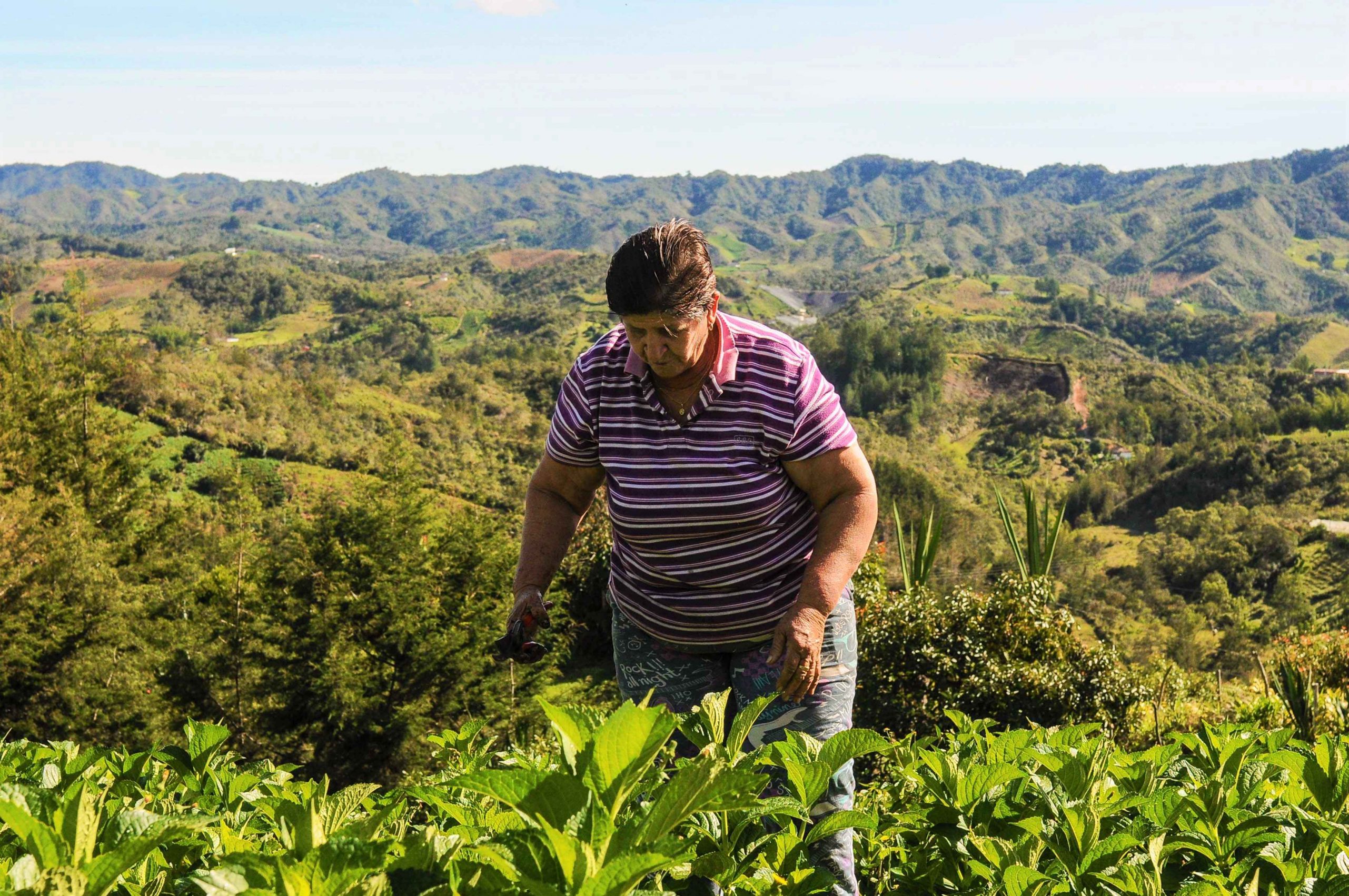 Debe ser saldada la deuda historica con las mujeres rurales colombianas1 2 scaled
