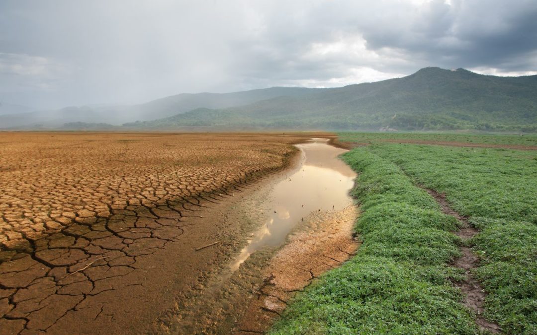Desde la Asamblea de Cundinamarca se estudian propuestas para mitigar el cambio climatico