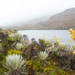 PNUD y la RAP E abren convocatoria para organizaciones comunitarias del Sumapaz