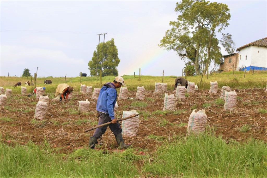 Recomendaciones para agricultores y ganaderos en temporada de lluvias