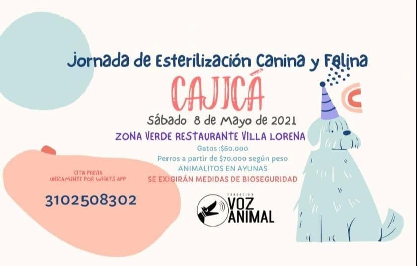 Jornada de esterilizacion canina y felina en Cajica2