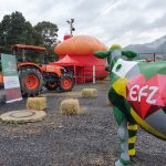 Se reaviva la Empresa Frigorifico y Plaza de Ferias de Zipaquira EFZ