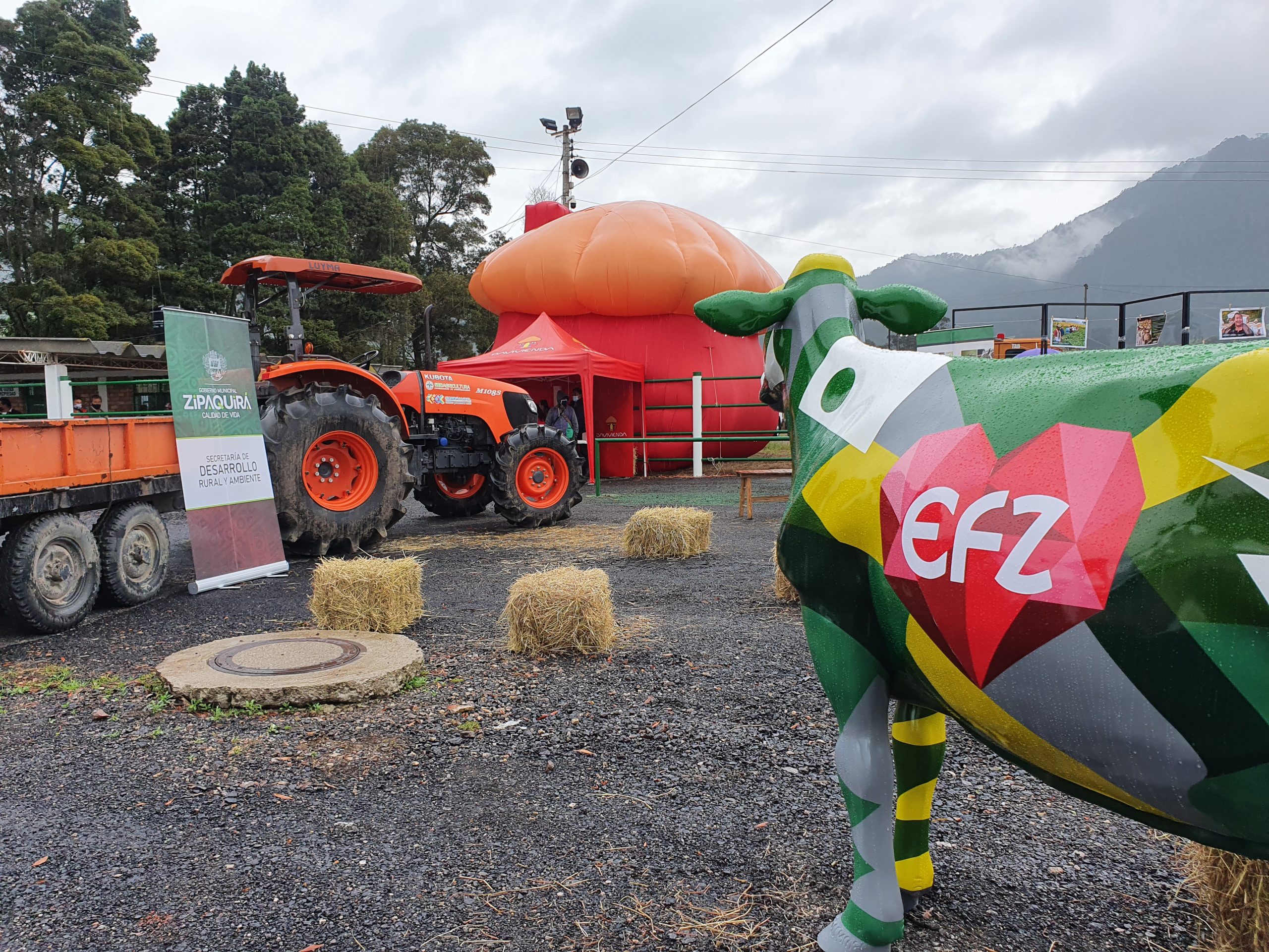 Se reaviva la Empresa Frigorifico y Plaza de Ferias de Zipaquira EFZ scaled