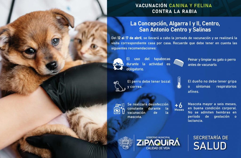 Vacunacion canina y felina puerta a puerta en Zipaquira2